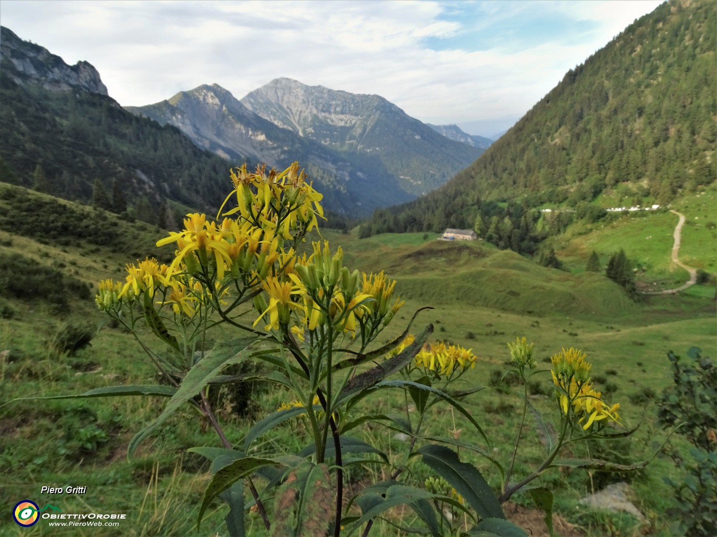 15 Dal sentiero 207A per il Passo della Marogella (1869 m) vista sulla Conca di Mezzeno.JPG